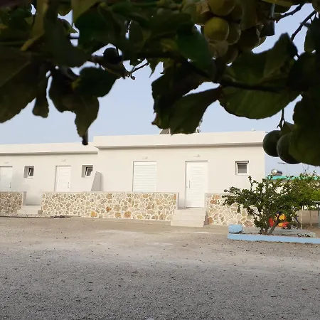 Your Second Apartment