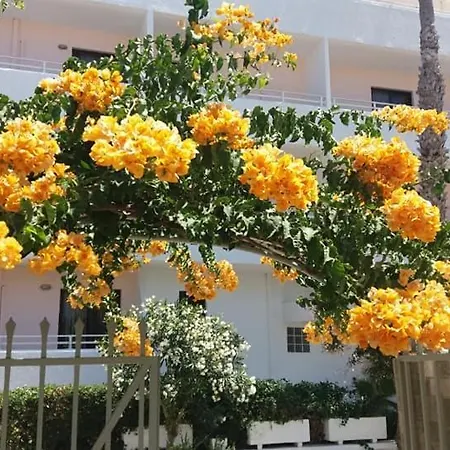 Apartment Kardamena *