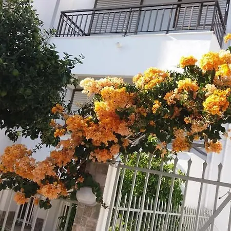 Apartment Kardamena *