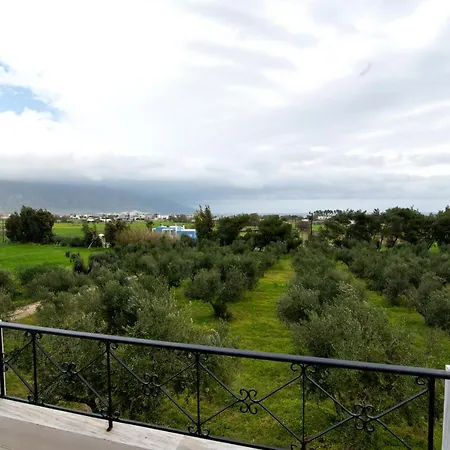 Uliveto 3bd Rustic House