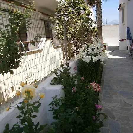 Amfi * Kardamena (Kos)