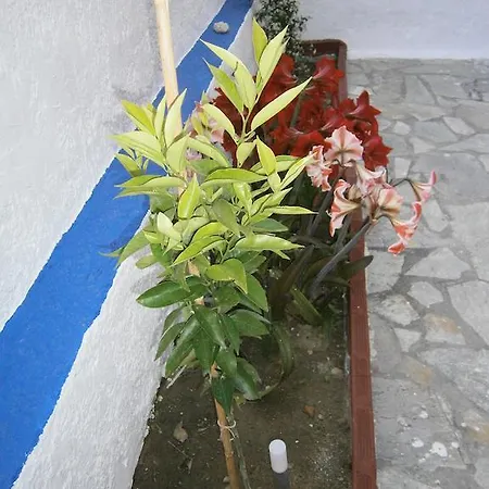 Amfi Apartment