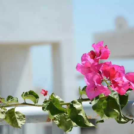 Aparthotel Vergina Kardamena (Kos)
