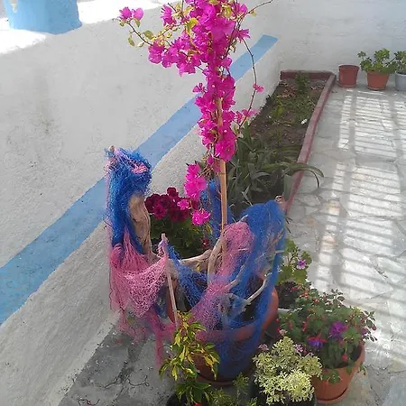Apartment Amfi