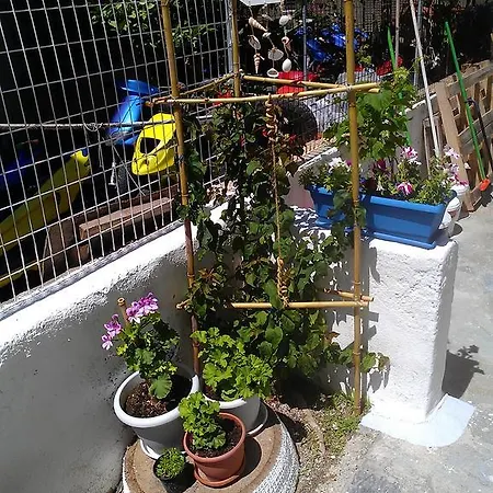 Apartment Amfi *