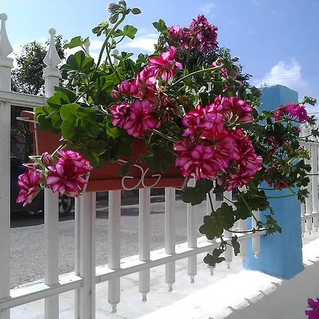 Apartment Amfi Kardamena (Kos)